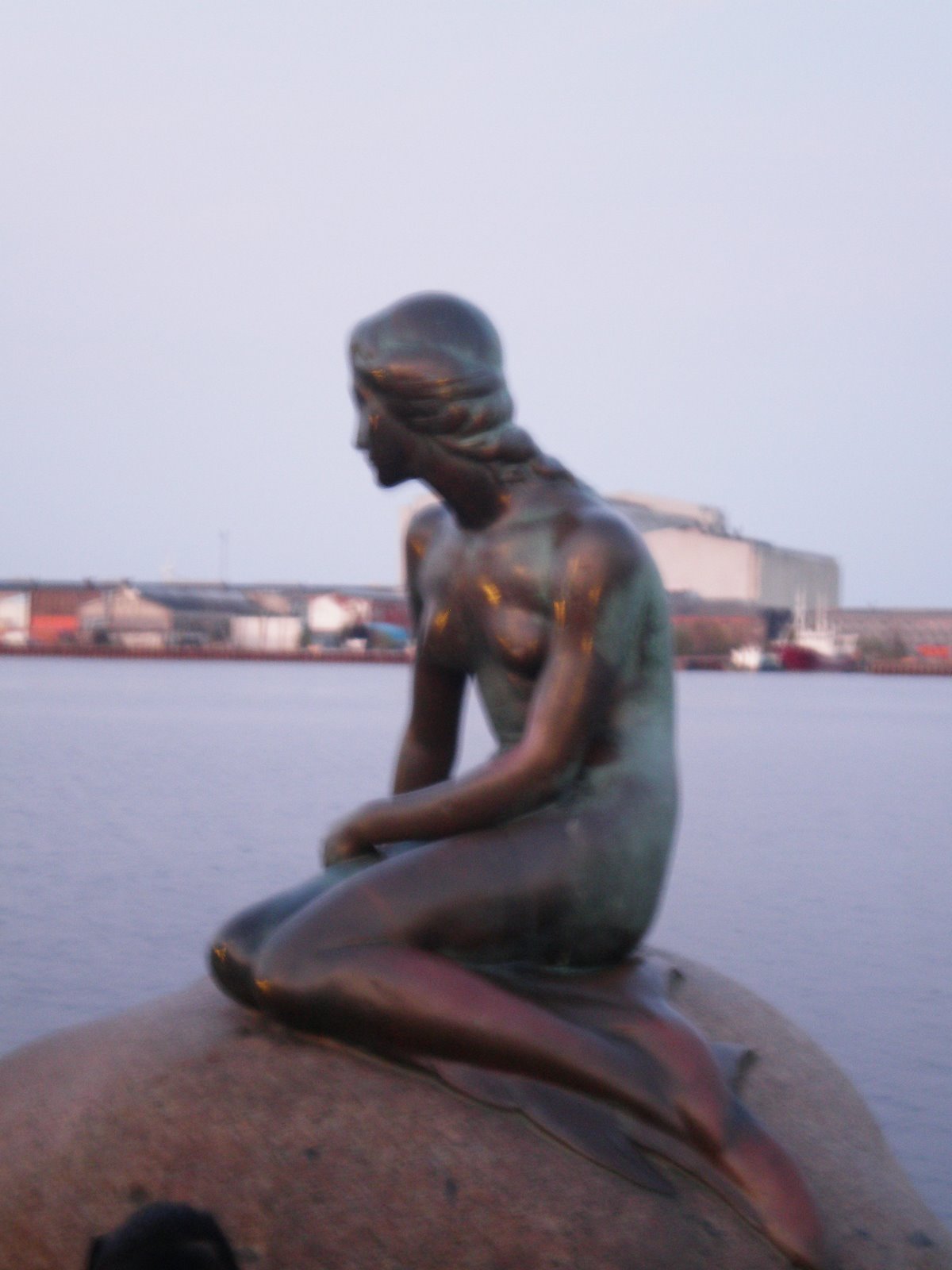 [P4230083.JPG]