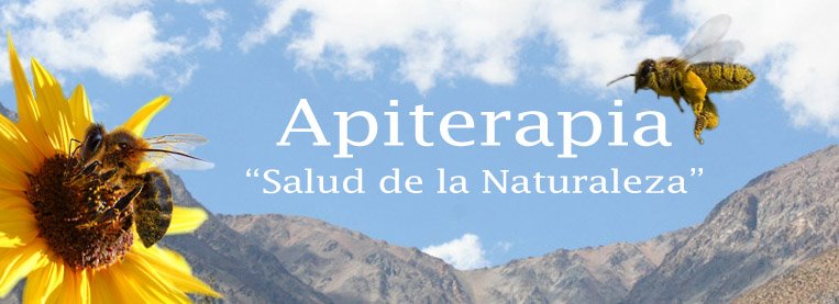 Apiterapia