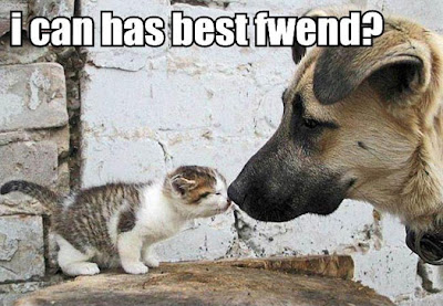 User submitted image