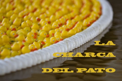 La charca del pato