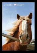 I Love, Support & Volunteer at The Gentle Barn