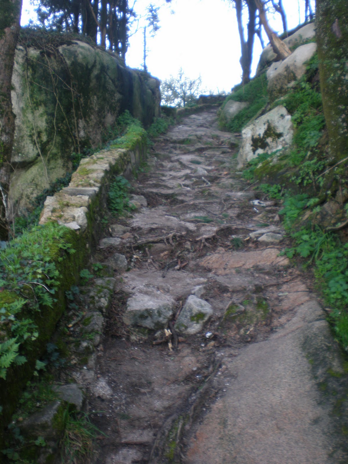 [P1190133.JPG]