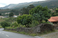 Café Portugal - PASSEIO DE JORNALISTAS em Ponte de Lima - Cabração