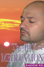 THE JOY OF MEDITATION