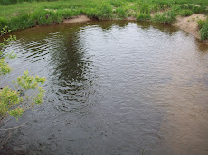 Come here mine trout !