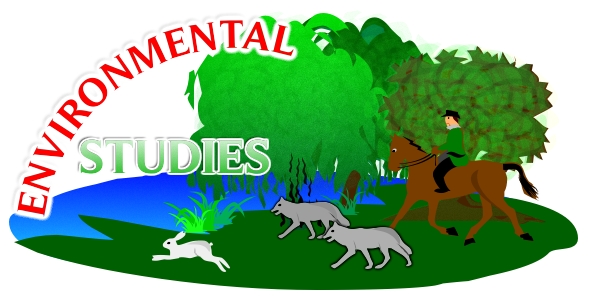 Personal Narrative Essay Examples High School
