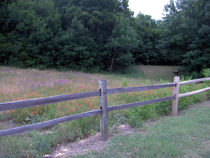 The Big Meadow