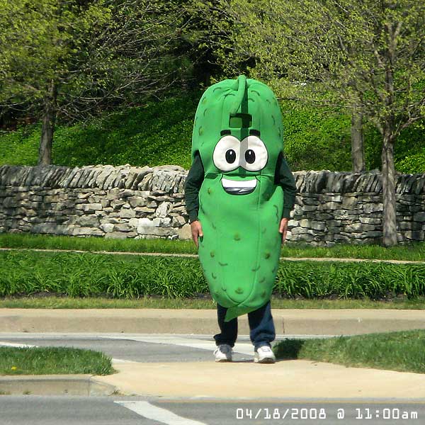 mean pickle