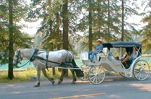 [Horse+Carriage+Ride+Along+the+Bow+River[1].jpg]