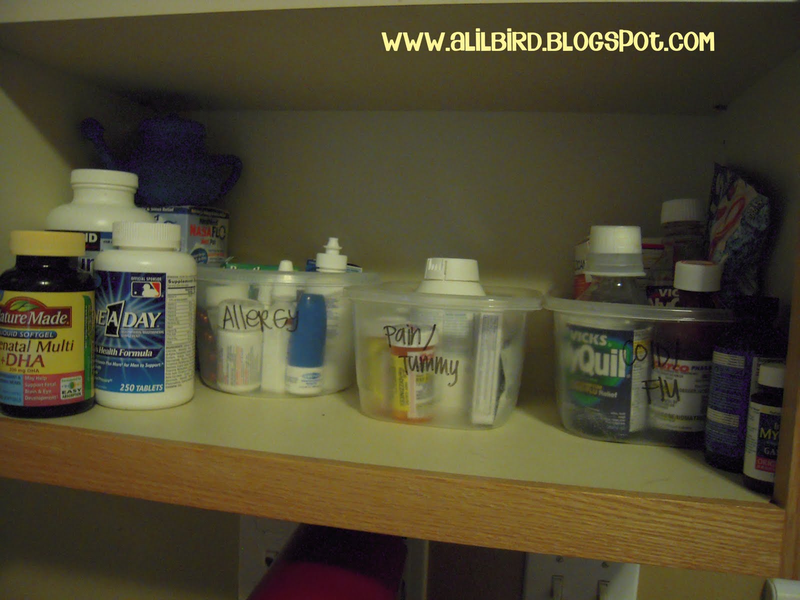 A Lil Bird told me... Tidy Tips Organize Your Medicine