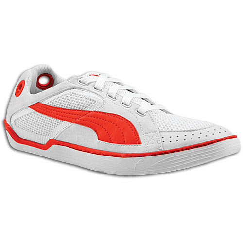 Puma Kite