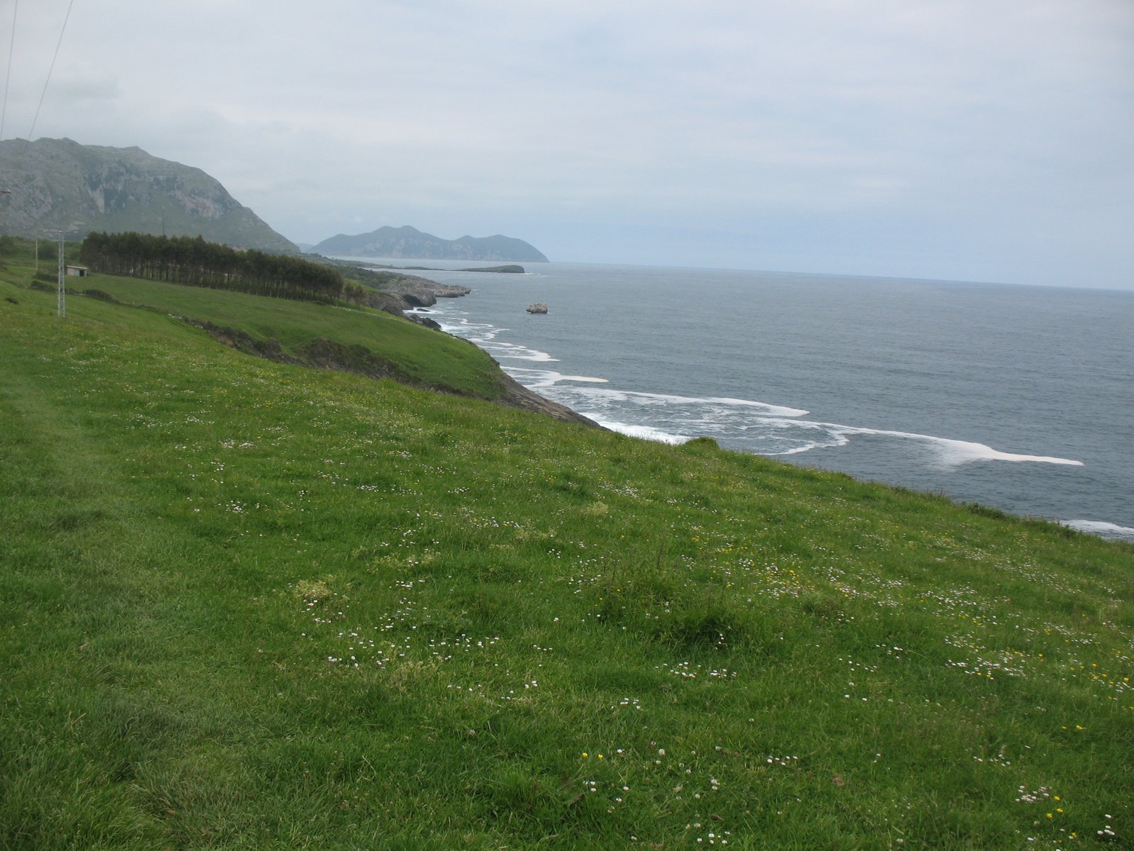 [IMG_5014.JPG]
