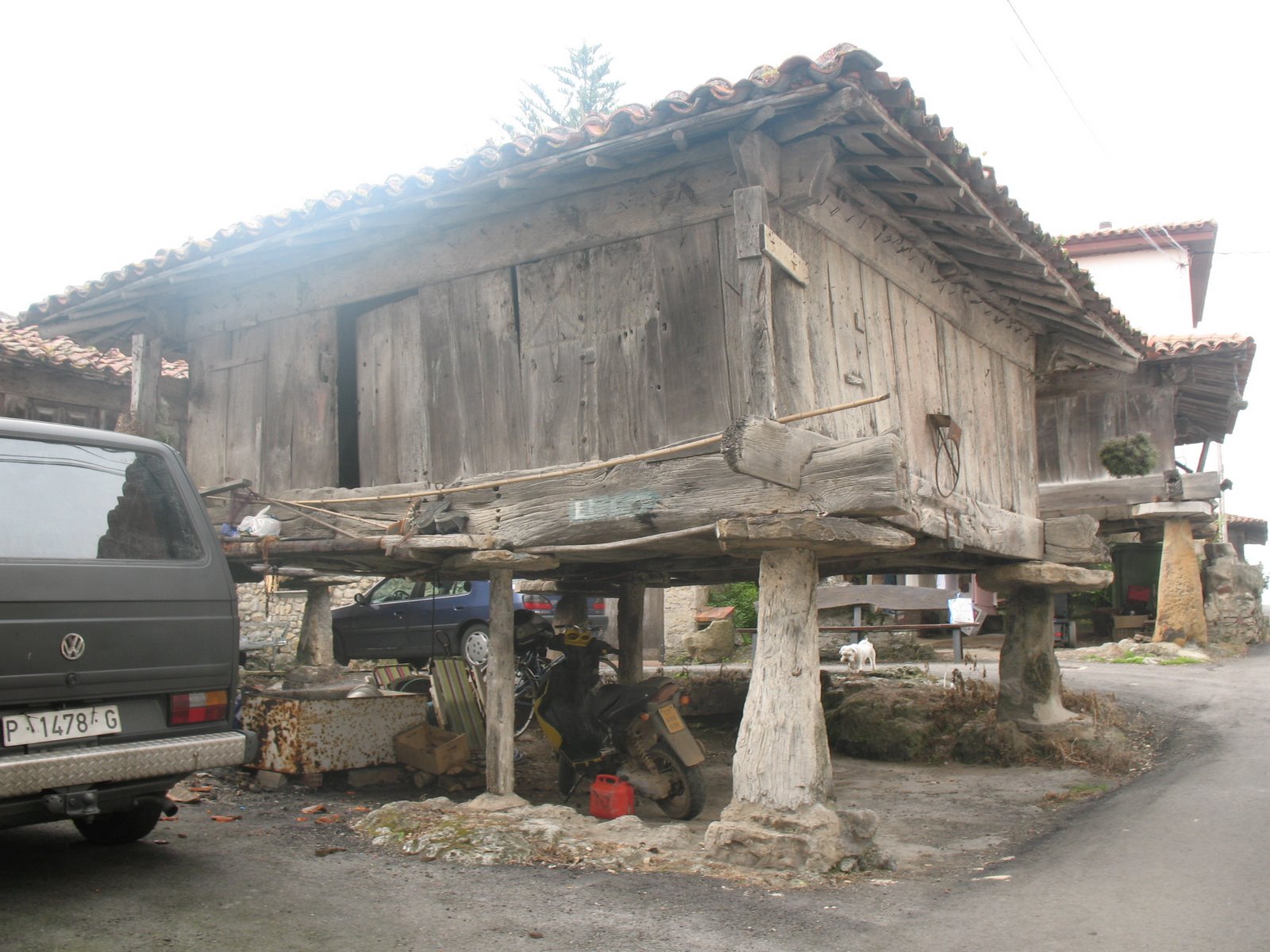 [IMG_5309.JPG]