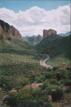 LaBarge Creek in Superstition Mountain Range, AZ