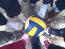 time lwn volleyball