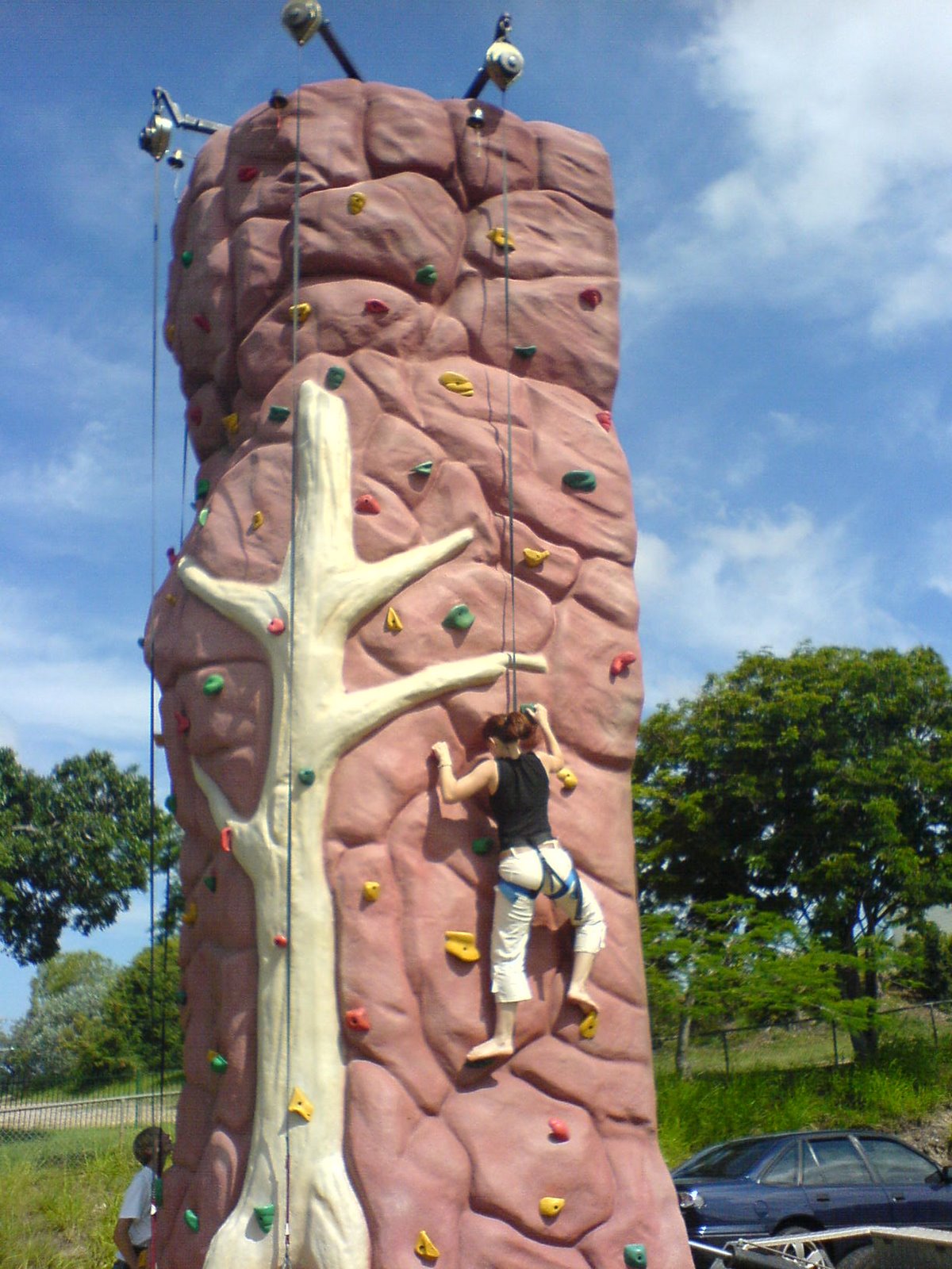[DSC00235.JPG]