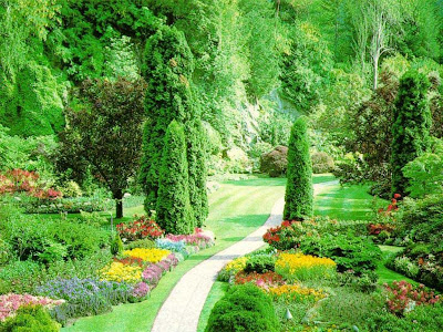 Free Download: Nature Wallpaper Free Download: Nature Wallpaper