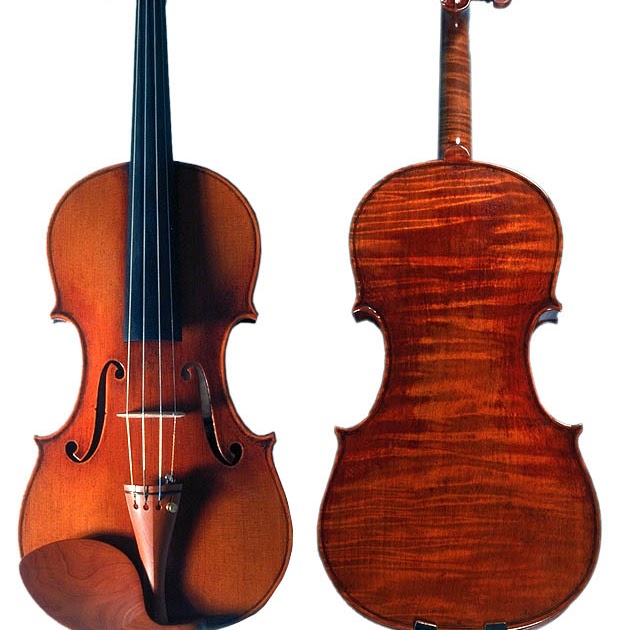 Interesting facts you didn't know Most expensive musical instrument in