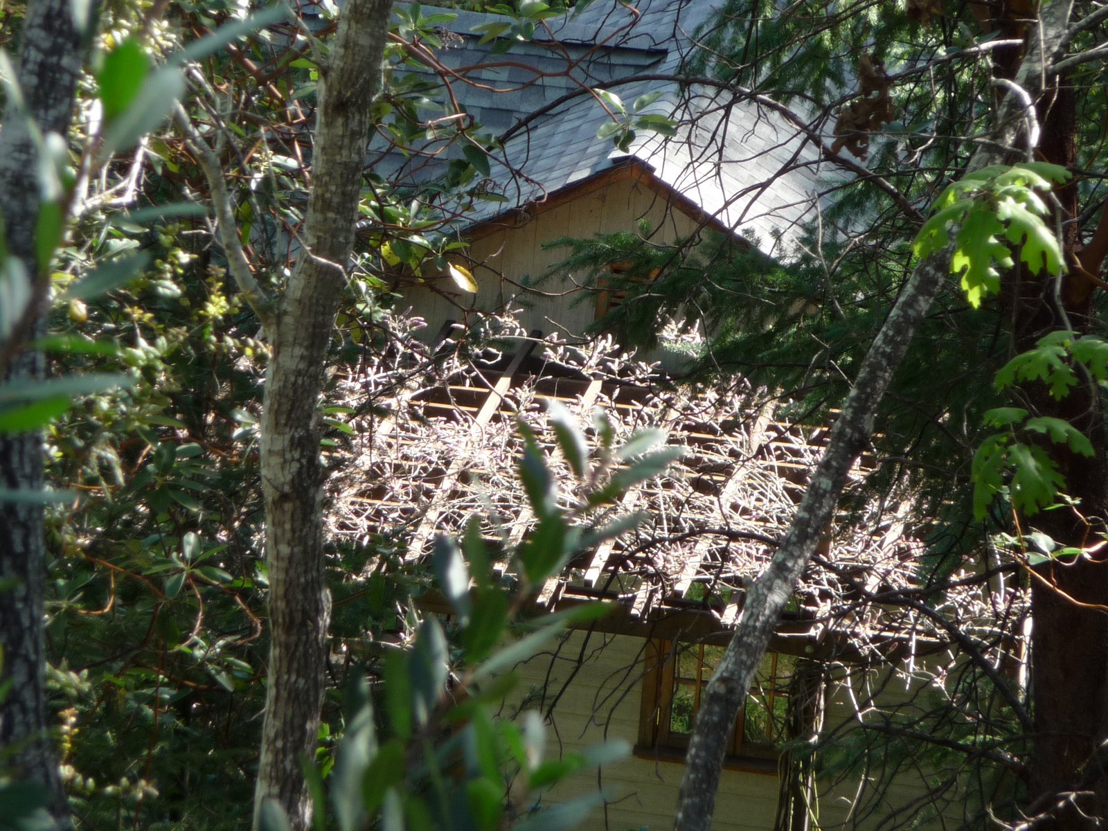 [P1000004.JPG]