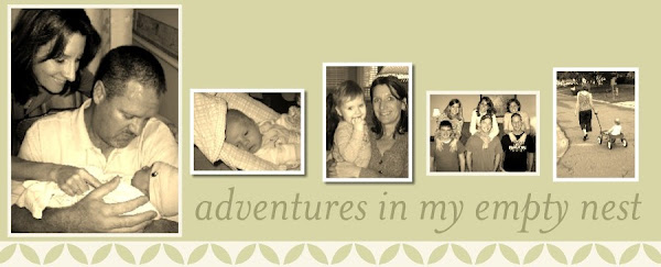 The adventures in my empty nest