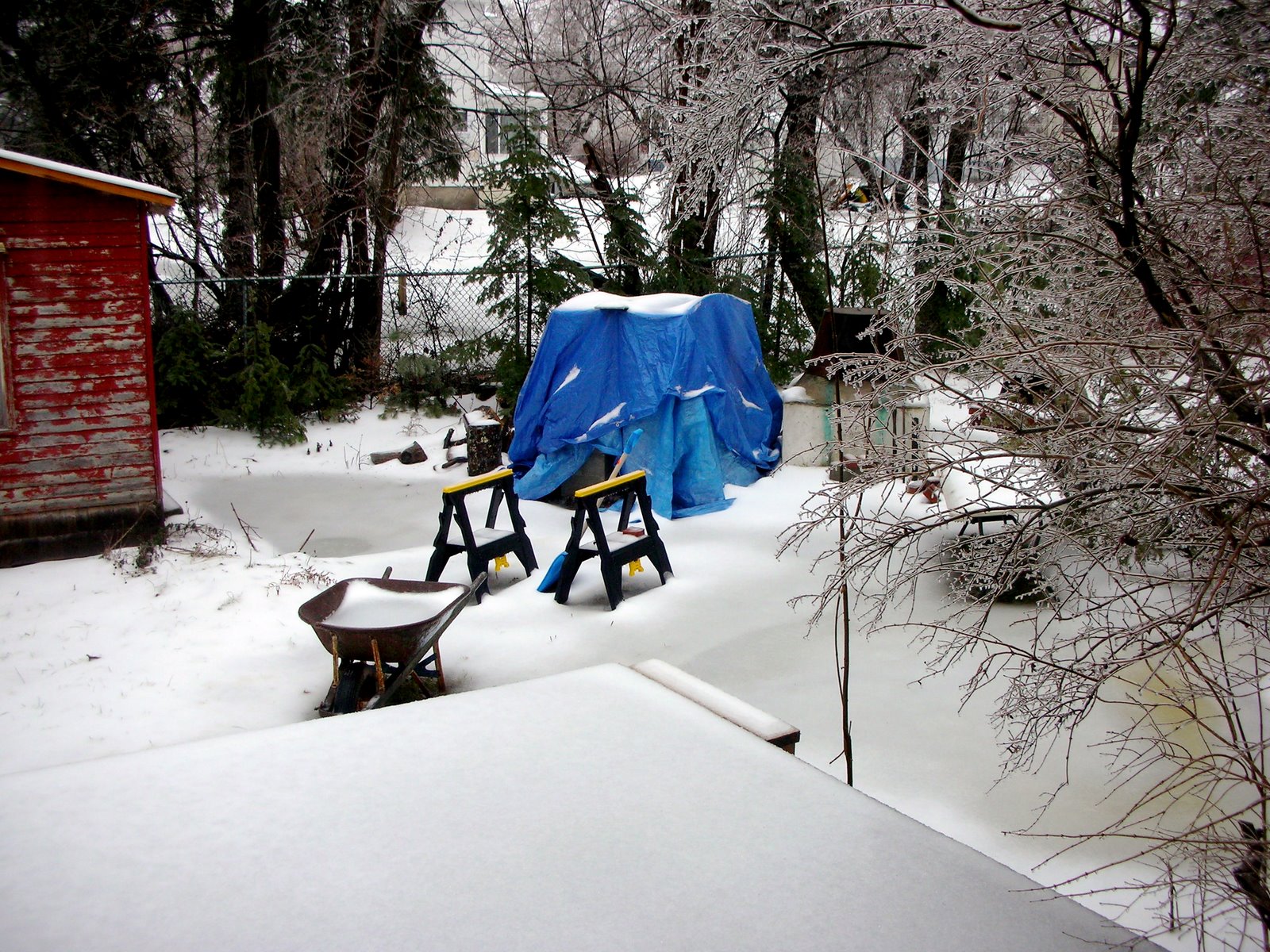 [blue+tarp.JPG]