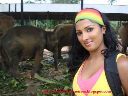 [Deena+Ediriwickramasooriya+(11).jpg]