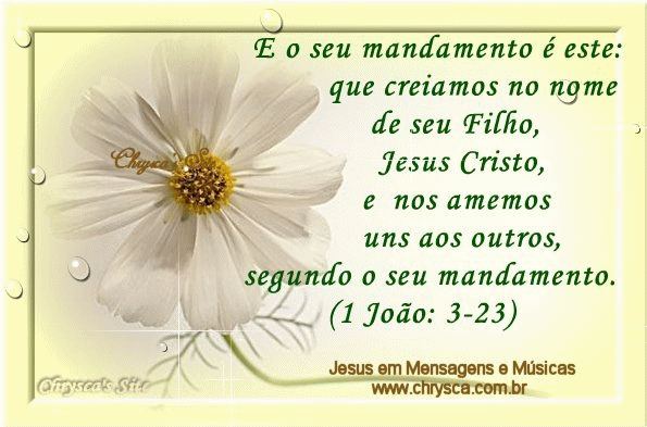 [1joao3_23.gif]