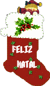 [18BOTA+DO+NOEL.gif]