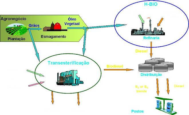 Rotas de Produção de Biocombustíveis