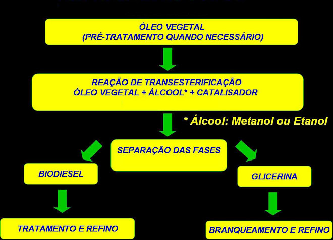 Biodiesel  -  Oleo Vegetal