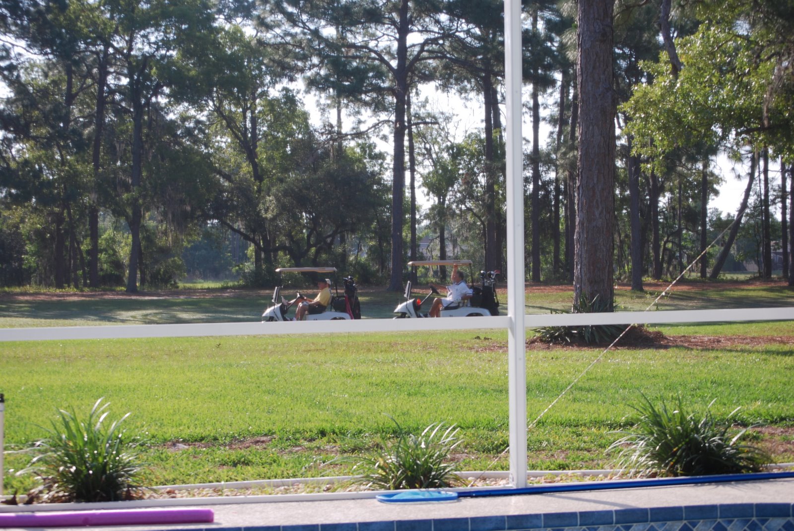 [DSC_0631.JPG]