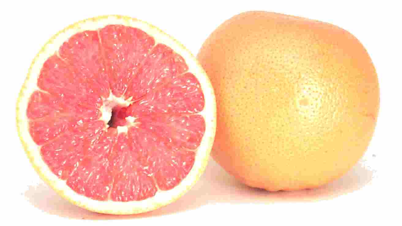 [grapefruit.jpeg]