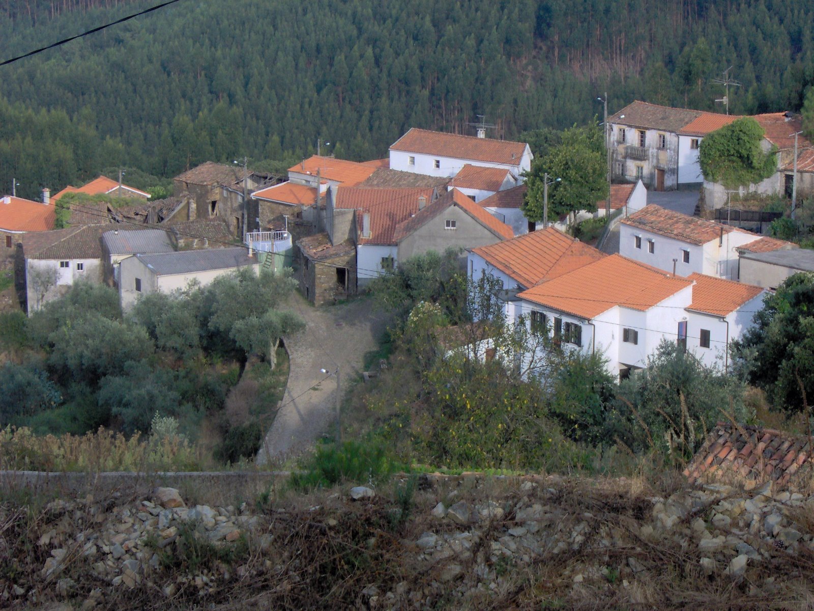 [20071220_9.JPG]