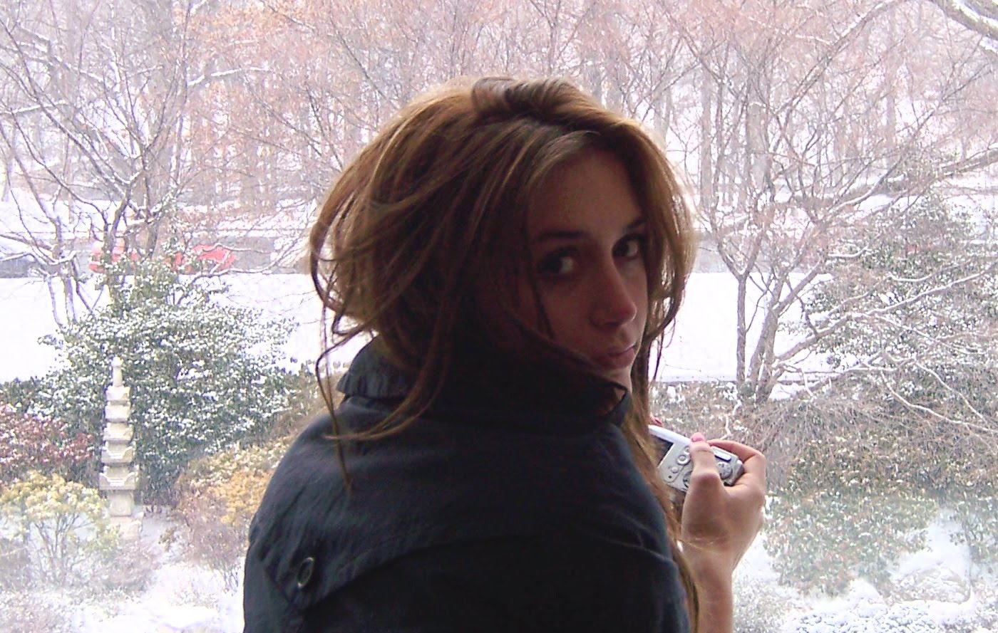 [SnowyWindow.JPG]