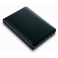Toshiba Mini Notebook NB255-N240