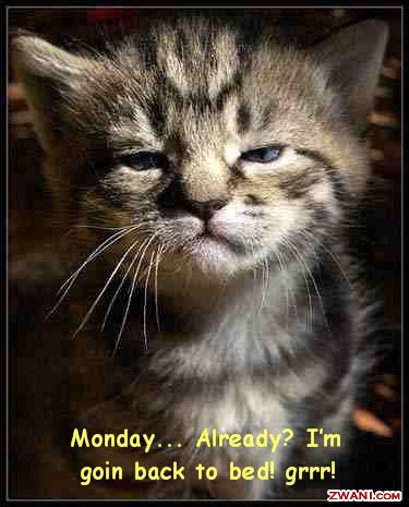 Random Monday Thoughts.