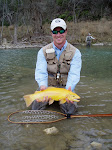 More Trout