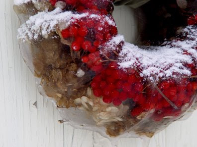 Ice Wreaths