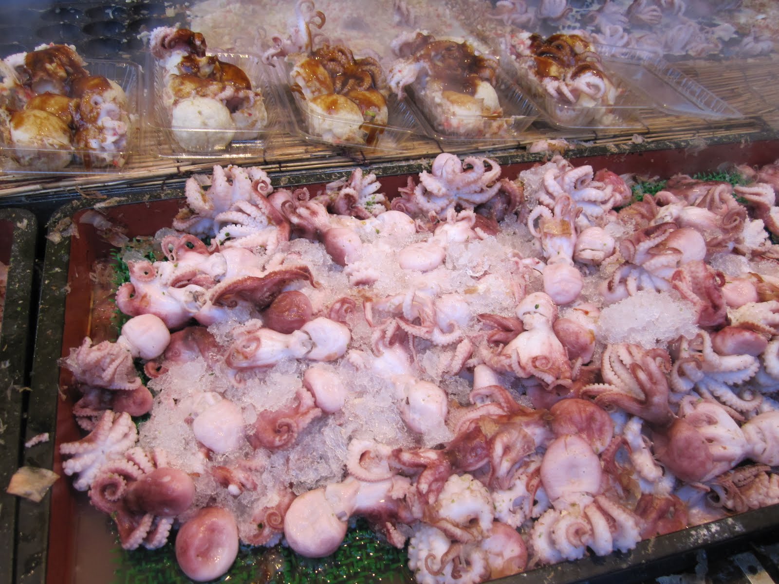 [IMG_0661.JPG]