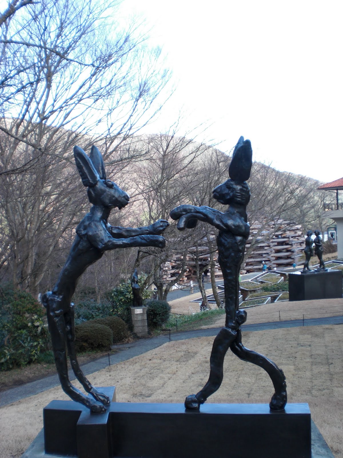 [CIMG1129.JPG]