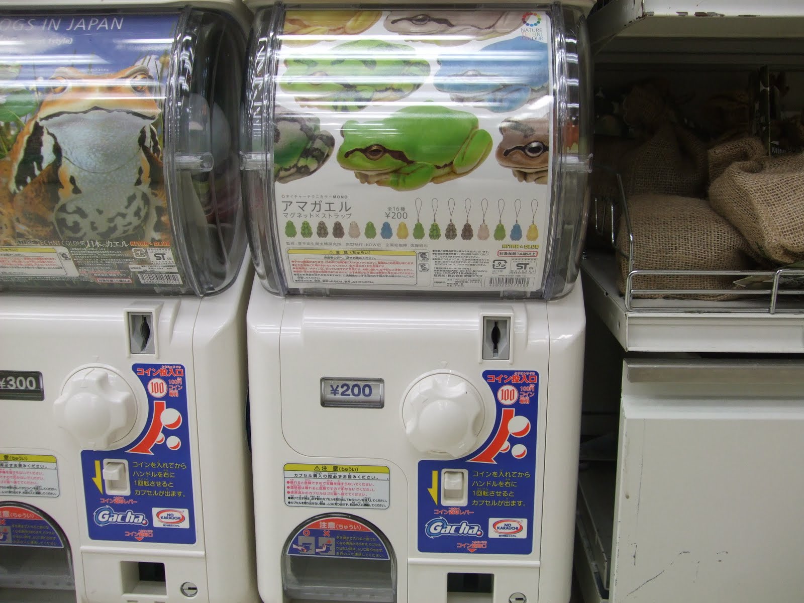 [DSCF6011.JPG]