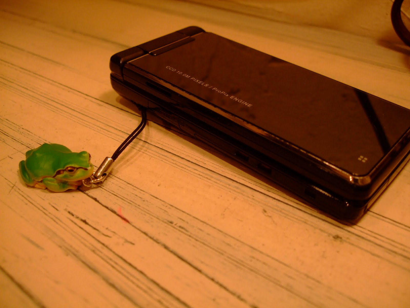 [DSCF6071.JPG]