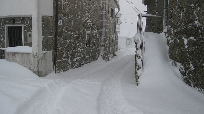 [neve3.jpg]
