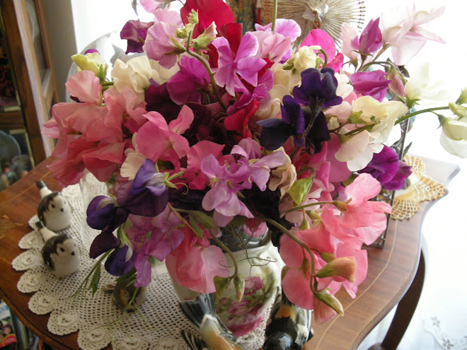 Glorious Sweet Peas