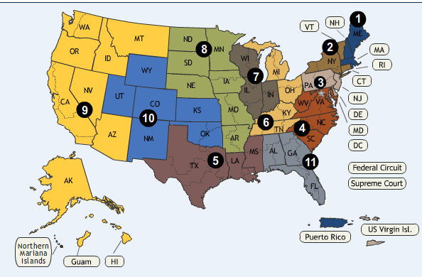US_Circuit_Courts_of_Appeal_Map