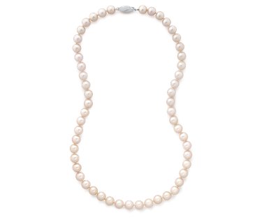 [PN31400600_alt1.jpg]