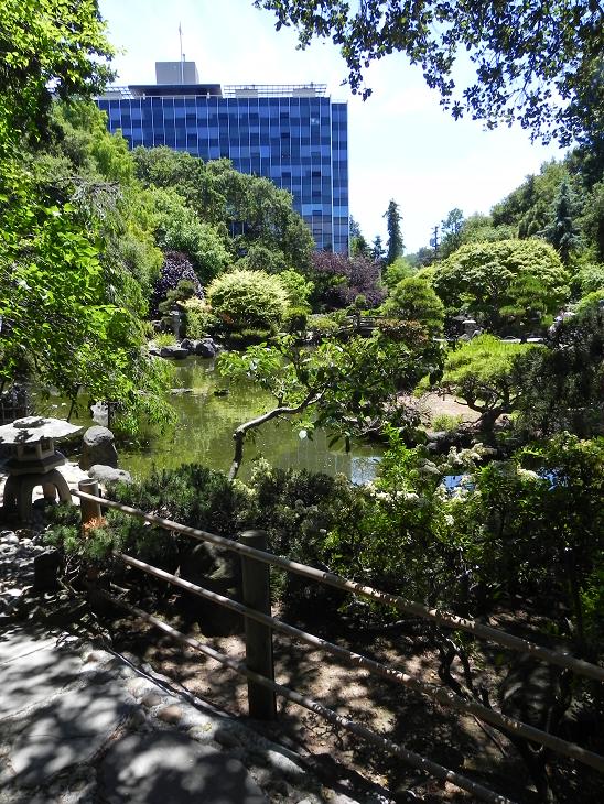 suck the heads: Much needed serenity at the Japanese Tea Gardens