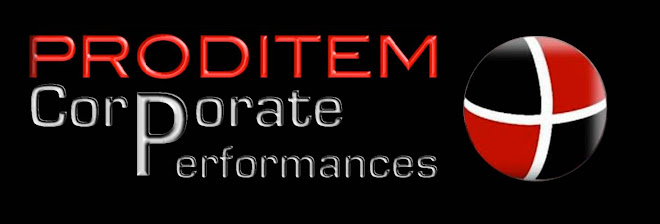 PRODITEM - Corporate Performances