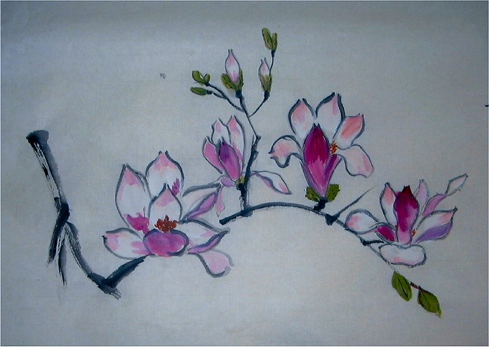 [Pink+Magnolia.jpg]