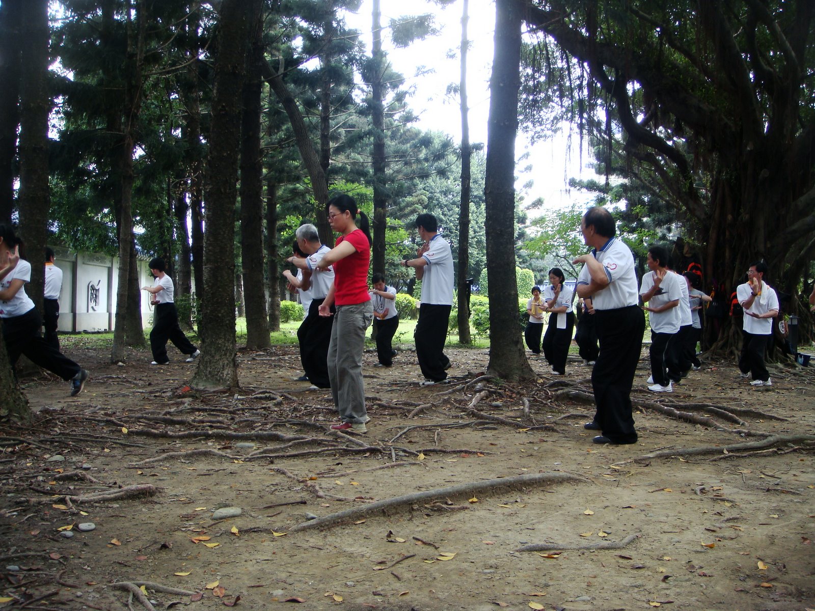 [DSC03927.JPG]
